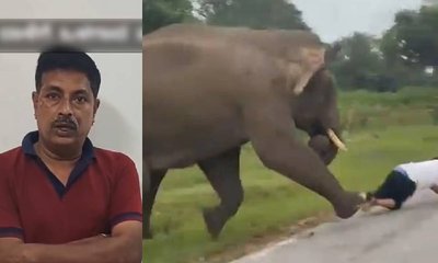 ಸೆಲ್ಫಿ ತೆಗೆಯಲು ಹೋಗಿ ಆನೆ ದಾಳಿ, ಬದುಕುಳಿದವನಿಗೆ ಅರಣ್ಯ ಇಲಾಖೆ ಶಾ‌ಕ್!