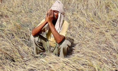 ರೈತರ ಆತ್ಮಹತ್ಯೆ ಪ್ರಕರಣ: ರಾಜ್ಯದಲ್ಲಿ ಇಳಿಮುಖ