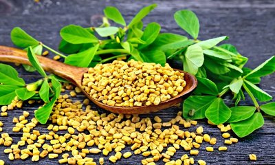 ಕೂದಲಿನ ಆರೋಗ್ಯಕ್ಕೆ ಮೆಂತೆ ಬಳಕೆ ಉಪಯುಕ್ತವೇ?