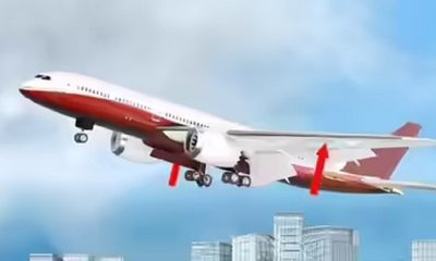 Vishweshwar Bhat Column:  ವಿಮಾನದ ರೆಕ್ಕೆಗಳು ಮುರಿಯಬಹುದೇ ?