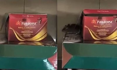 ಈ ಹೊಟೇಲ್ ಗೆ ಹೋಗುವ ಮುನ್ನ ಎಚ್ಚರ... ಎಚ್ಚರ- ವಿಡಿಯೋ ನೋಡಿ!