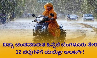 ಮುಂದಿನ 2 ದಿನ ಹಲವು ಜಿಲ್ಲೆಗಳಿಗೆ ಯೆಲ್ಲೋ ಅಲರ್ಟ್; ಭಾರಿ ಮಳೆ!