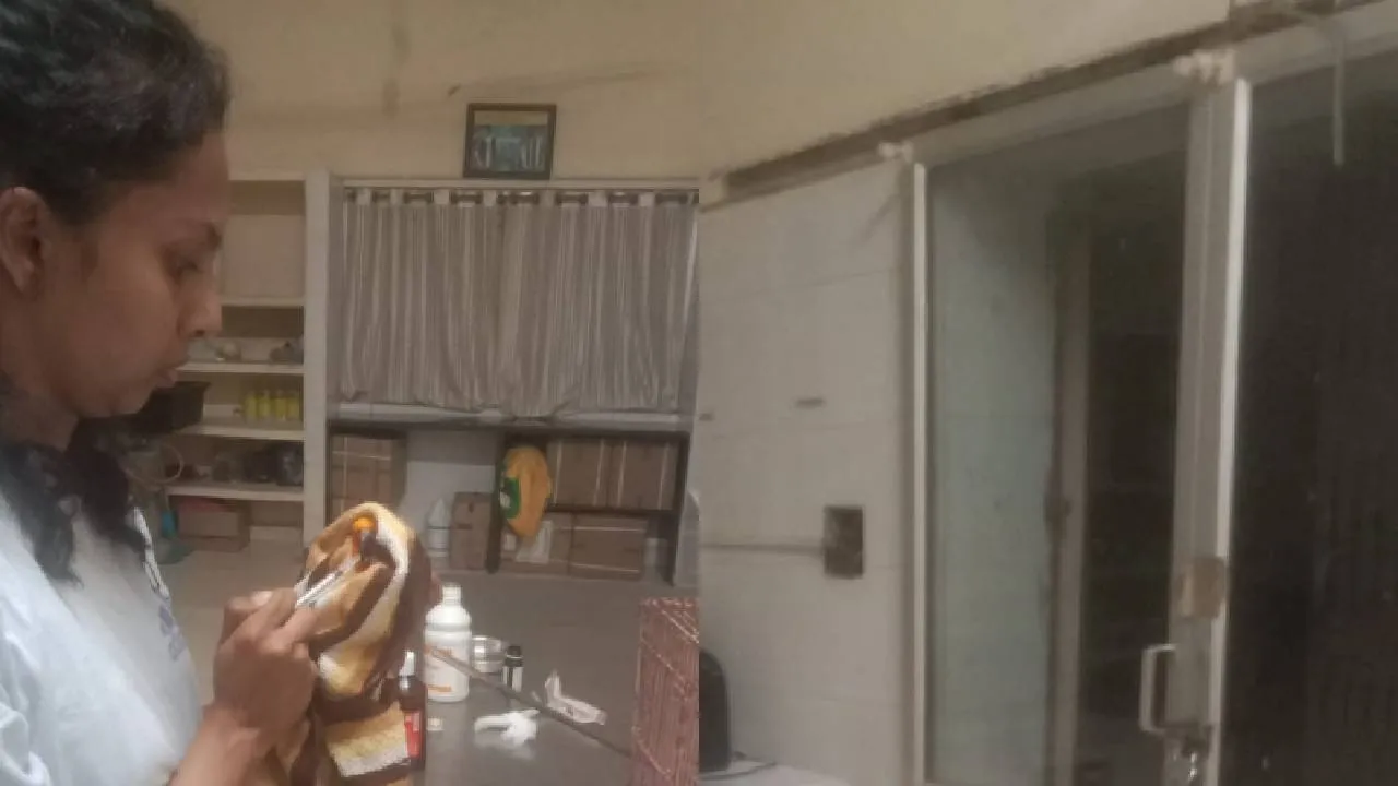 Hippopotamus Attack: ತಾವರೆಕೊಪ್ಪ ಮೃಗಾಲಯದಲ್ಲಿ ನೀರಾನೆ ದಾಳಿಗೆ ಪಶುವೈದ್ಯೆ ಬಲಿ