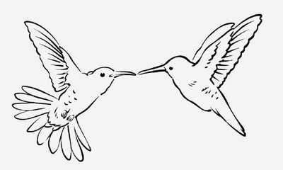 ‌Vishweshwar Bhat Column: ಪಾರಿವಾಳ ಮತ್ತು ಜಿಪಿಎಸ್