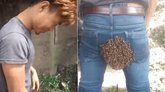 ಜೇನು ನೋಣಗಳು ಮುತ್ತಿಗೆ: ತಾಳ್ಮೆಯಿಂದ ಗೆದ್ದು ಅಪಾಯದಿಂದ ಪಾರಾದ ಯುವಕ