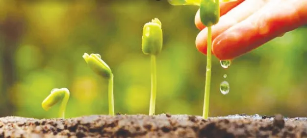 ಬದುಕಿನಲ್ಲಿ ತಾಳ್ಮೆ ಬಲು ಮುಖ್ಯ