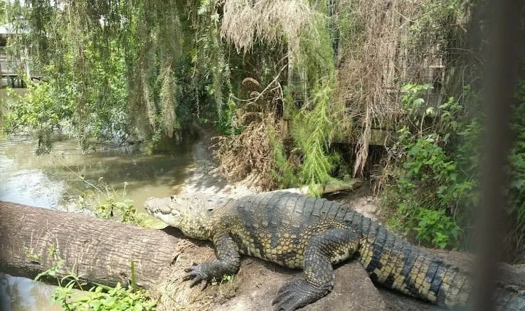 ವಿಶಿಷ್ಟ ಪ್ರವಾಸಿ ತಾಣಗಳು