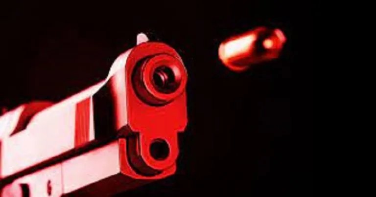 ಕಬ್ಬಿಣಕ್ಕಿಂತಲೂ ಗಟ್ಟಿ ಪ್ಲಾಸ್ಟಿಕ್‌ಗಿಂತಲೂ ಹಗುರ