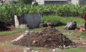 ಕೃಷಿ ತ್ಯಾಜ್ಯದಿಂದ ನವೀನ ಪ್ಯಾಕೇಜಿಂಗ್ ಪರಿಹಾರಕ್ಕೆ ಸಹಭಾಗಿತ್ವ