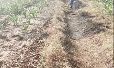 ಕಾಲುವೆಗಳಲ್ಲಿ ತುಂಬಿದ ಹೂಳು, ಕೇಳುವವರಿಲ್ಲ ರೈತರ ಗೋಳು