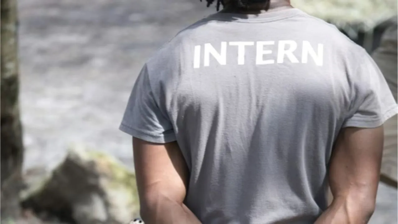 Skill India Internship Opportunities:  ವಿದೇಶಿ ಭಾಷೆಗಳು, SAP, ಡೇಟಾ ಸೈನ್ಸ್‌, ಇಂಟರ್ನ್‌ಶಿಪ್‌ಗೆ ಟ್ರೈ ಮಾಡ್ತಾ ಇದೀರಾ? ಇಲ್ಲಿದೆ ಫ್ರೀ ಕೋರ್ಸ್‌