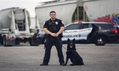 Vishweshwar Bhat Column: ಕೆ-9 ಯೂನಿಟ್‌ ಅಂದರೇನು ?