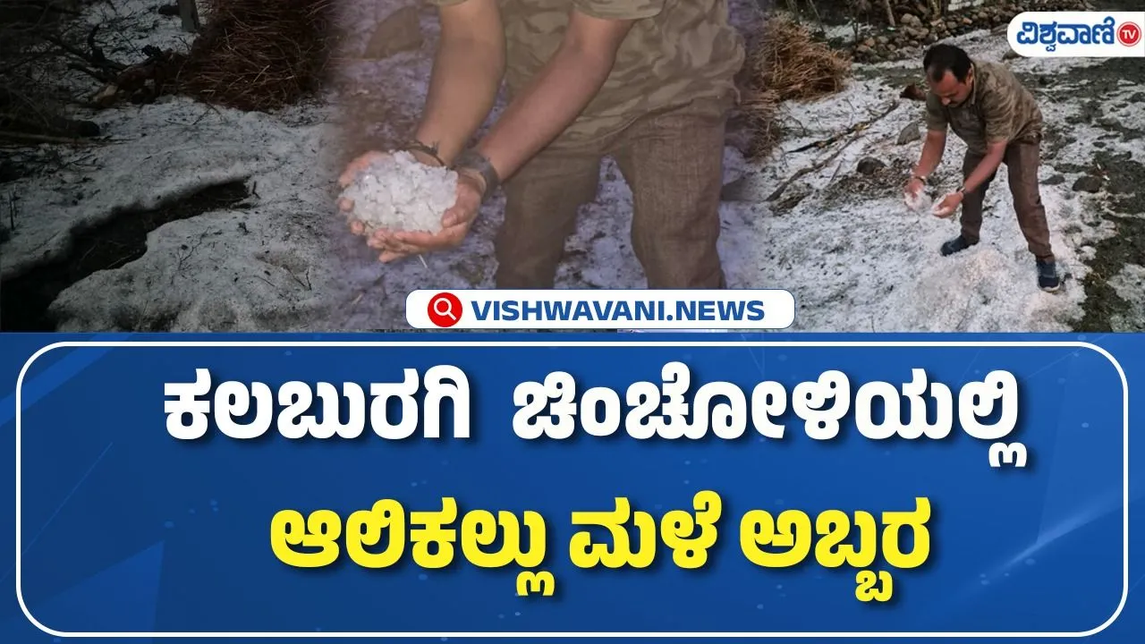 ಕಲಬುರಗಿಯ ಚಿಂಚೋಳಿಯಲ್ಲಿ ಆಲಿಕಲ್ಲು ಮಳೆಯ ಆರ್ಭಟ; ಹಿಮಪಾತದಂತೆ ಗೋಚರಿಸಿದ ರಸ್ತೆಗಳು, ಜನಜೀವನ ಅಸ್ತವ್ಯಸ್ತ