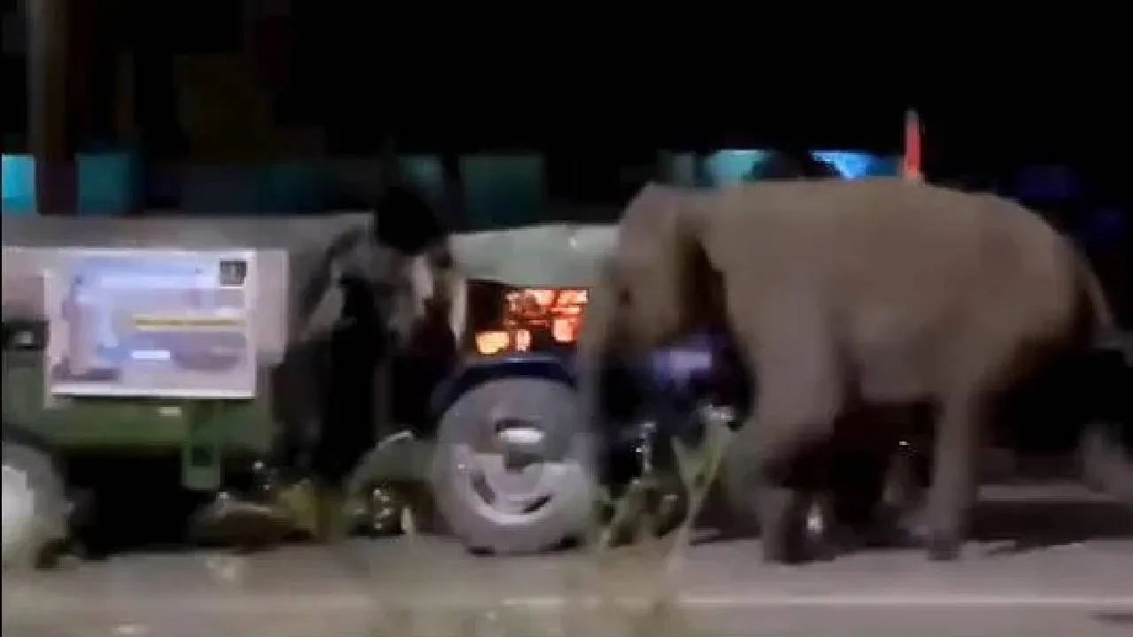 Viral Video: ಕನ್ವಾರ್ ಯಾತ್ರೆ ವೇಳೆ ಏಕಾಏಕಿ ನುಗ್ಗಿದ ಗಜಪಡೆ; ಕೊನೆಗೆ ಆಗಿದ್ದೇನು? ವಿಡಿಯೊ ನೋಡಿ