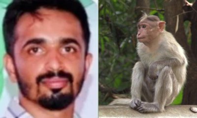 ಮಂಗನ ಕಾಯಿಲೆಗೆ ಮೊದಲ ಬಲಿ, ಮಲೆನಾಡಿನಲ್ಲಿ ಹೆಚ್ಚಿದ ಆತಂಕ