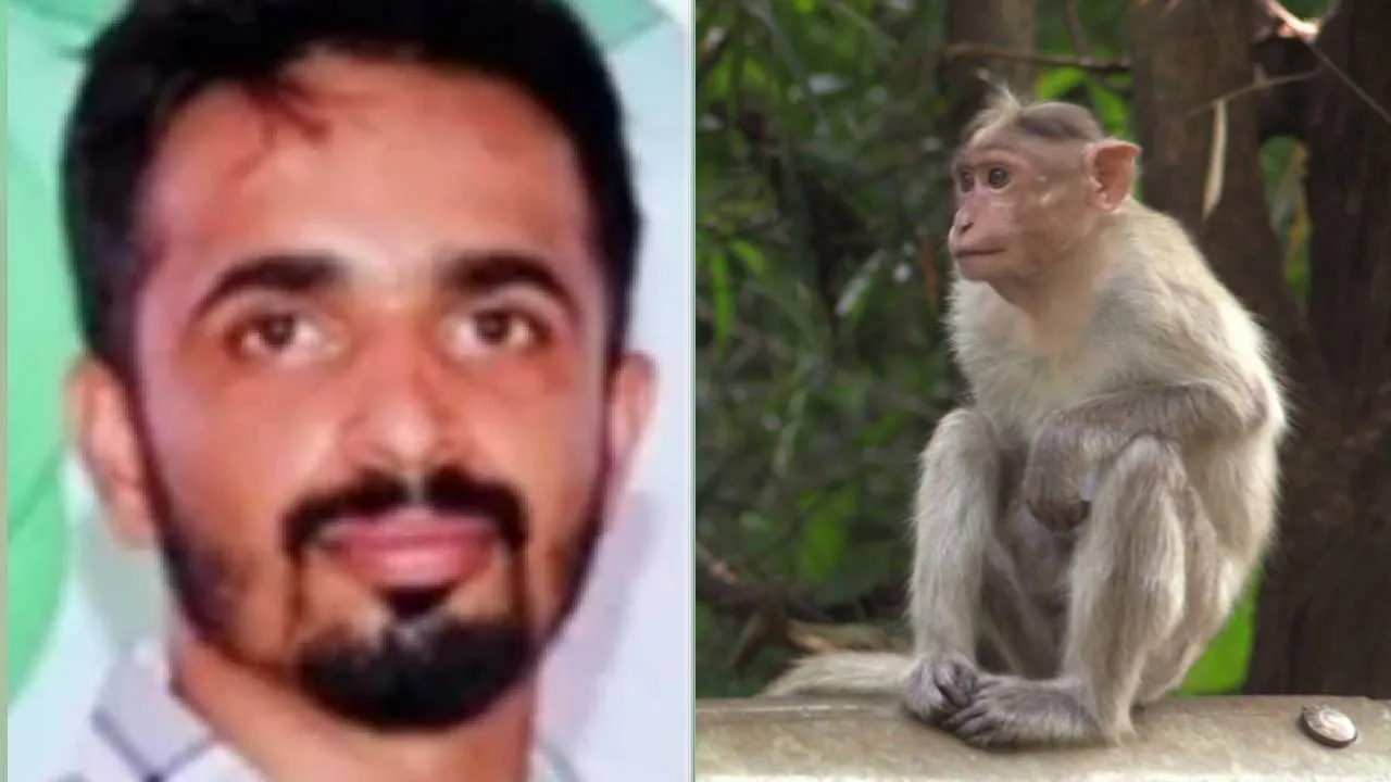 Kyasanur Forest Disease: ಮಂಗನ ಕಾಯಿಲೆಗೆ ಮೊದಲ ಬಲಿ, ಮಲೆನಾಡಿನಲ್ಲಿ ಹೆಚ್ಚಿದ ಆತಂಕ