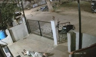 ಕೊಪ್ಪಳದಲ್ಲಿ ಮಂಗ ಏಕಾಏಕಿ ದಾಳಿ: ವೃದ್ಧೆ ಸಾವು!