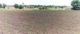 ಒಣಗುತ್ತಿರುವ ಬೆಳೆ, ಅನ್ನದಾತ ಕಂಗಾಲು