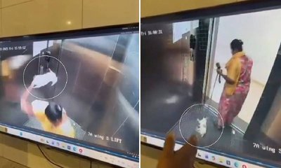 ಲಿಫ್ಟ್‌ನಲ್ಲಿ ನಾಯಿಮರಿ ಕೊಲೆ: ಮನೆ ಕೆಲಸದಾಕೆಯ ಬಂಧನ