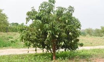 ತುಳಿಯುವವರು ಸಾವಿರ ಮೇಲೆತ್ತುವನು ಒಬ್ಬನೇ !