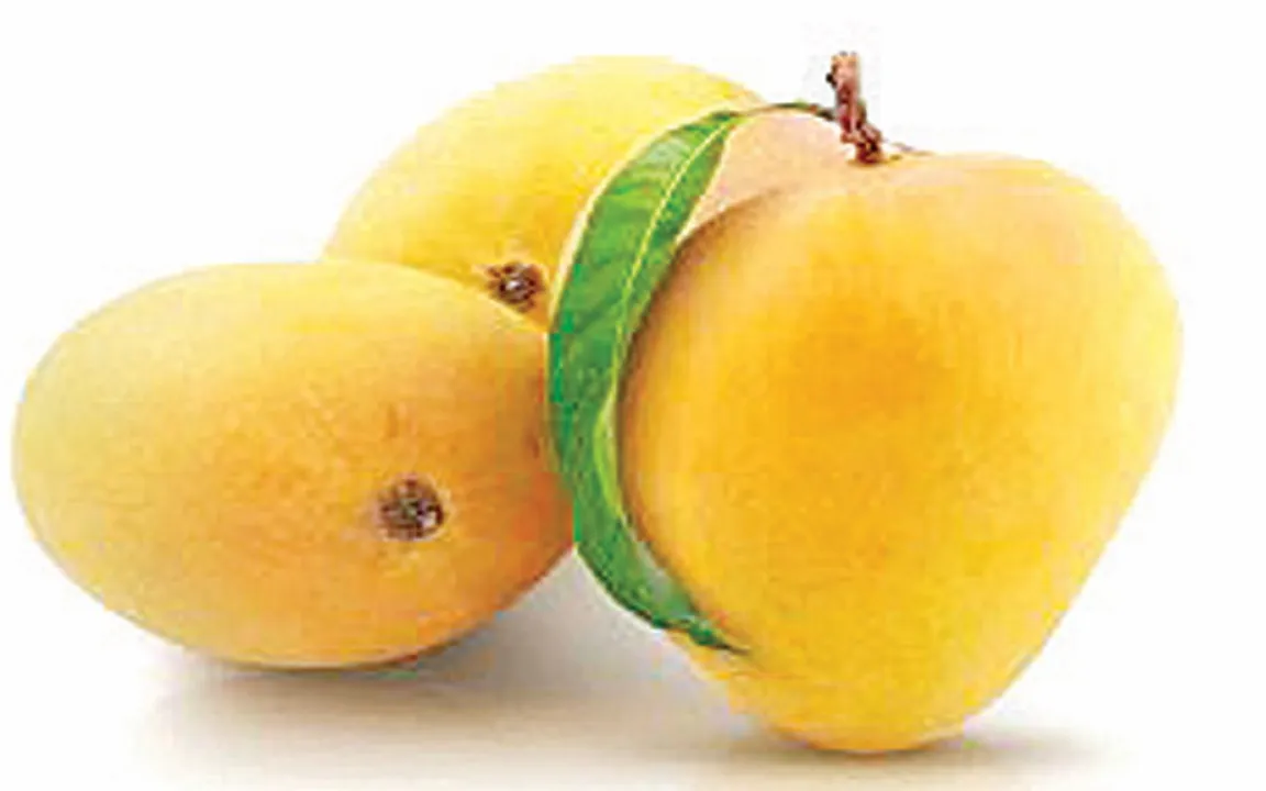mango R