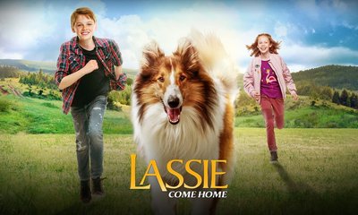 Vishweshar Bhat Column: ಮನುಷ್ಯ-ನಾಯಿಯ ಸಂಬಂಧ