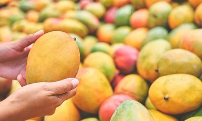 ರಸಭರಿತ ಮಾವಿನ ಹಣ್ಣು ನೋಡಿ ಮೋಸ ಹೋಗದಿರಿ