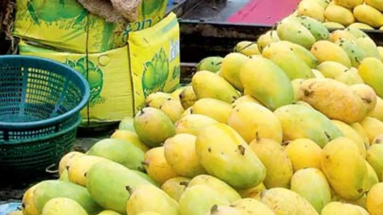 ನೈಸರ್ಗಿಕವಾಗಿ ಮಾಗಿದ ಮಾವಿನ ಹಣ್ಣನ್ನು ಗುರುತಿಸಬೇಕೆ? ಈ ಸುಲಭ ವಿಧಾನ ಫಾಲೋ ಮಾಡಿ - Image 2