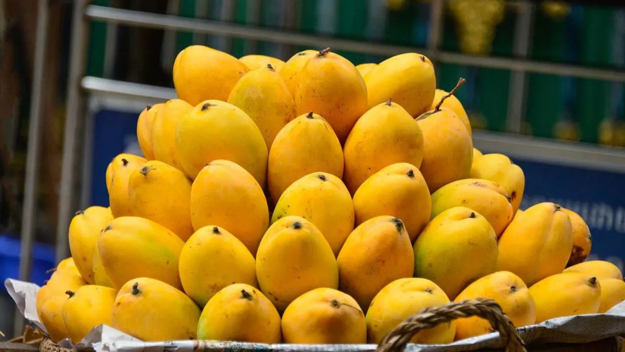 ನೈಸರ್ಗಿಕವಾಗಿ ಮಾಗಿದ ಮಾವಿನ ಹಣ್ಣನ್ನು ಗುರುತಿಸಬೇಕೆ? ಈ ಸುಲಭ ವಿಧಾನ ಫಾಲೋ ಮಾಡಿ - Image 3