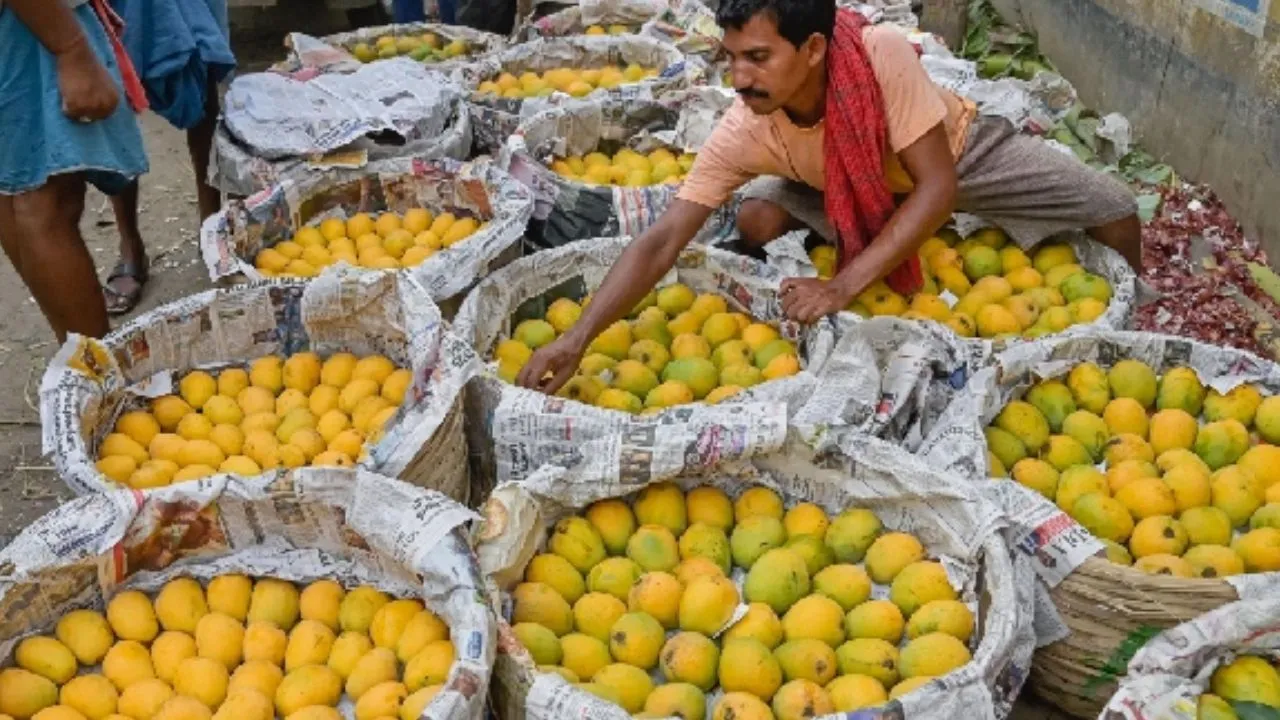 ನೈಸರ್ಗಿಕವಾಗಿ ಮಾಗಿದ ಮಾವಿನ ಹಣ್ಣನ್ನು ಗುರುತಿಸಬೇಕೆ? ಈ ಸುಲಭ ವಿಧಾನ ಫಾಲೋ ಮಾಡಿ - Image 7