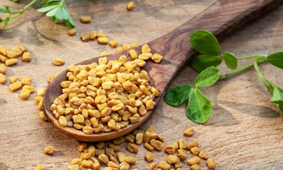 ಮಧುಮೇಹಿಗಳು ಮೆಂತೆಯನ್ನು ತಿನ್ನಬಹುದೇ?