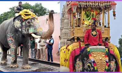 14ರ ಪೈಕಿ ಸುಗ್ರೀವನೇ ಬಲಶಾಲಿ
