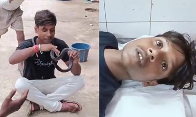 ಇನ್‌ಸ್ಟಾಗ್ರಾಂ ರೀಲ್ಸ್ ತಂದ ಫಜೀತಿ; ಯುವಕನಿಗೆ ಕಚ್ಚಿದ ವಿಷಸರ್ಪ