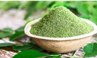 ನುಗ್ಗೆಸೊಪ್ಪಿನ ಚಹಾದಿಂದ ಈ ಆರೋಗ್ಯ ಲಾಭ ಇದೆ!