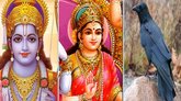 ರಾಮ, ಸೀತೆ, ಕಾಗೆ ಹೆಸರಿನಲ್ಲಿ ವಸತಿ ಪ್ರಮಾಣ ಪತ್ರಕ್ಕೆ ಅರ್ಜಿ!