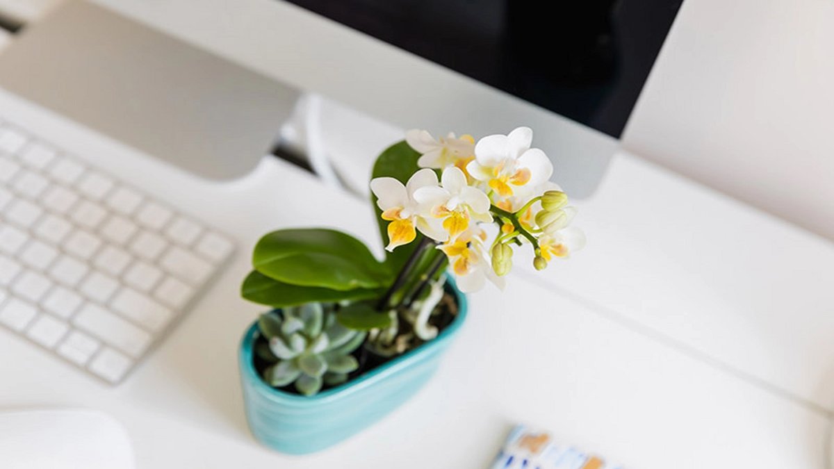 office2
