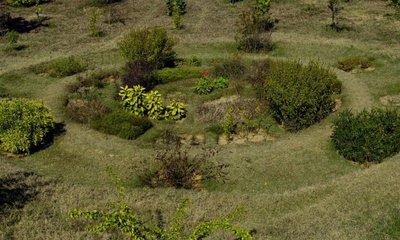 ಬೆಂಗಳೂರಿನಲ್ಲಿ 153 ಎಕ್ರೆಯಲ್ಲಿ ಟ್ರೀ ಪಾರ್ಕ್ ನಿರ್ಮಾಣಕ್ಕೆ ಸಿದ್ಧತೆ
