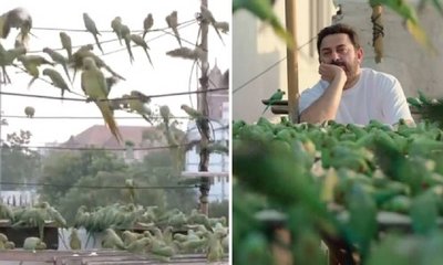 ಈ ದಂಪತಿಯ ಪಕ್ಷಿ ಪ್ರೇಮಕ್ಕೆ ನೆಟ್ಟಿಗರು ಫಿದಾ