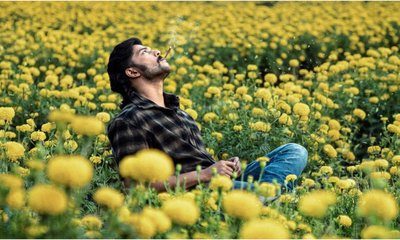 ʻಟಾಕ್ಸಿಕ್ʼ ಜಾಗಕ್ಕೆ ಸಂಚಿತ್ ಎಂಟ್ರಿ; ಜೂ.5ಕ್ಕೆ ʻಮ್ಯಾಂಗೋ ಪಚ್ಚʼ ರಿಲೀಸ್‌