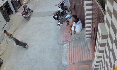 6 ತಿಂಗಳ ಮಗುವಿನ ಮೇಲೆ  ಪಿಟ್‌ಬುಲ್ ಭೀಕರ  ದಾಳಿ