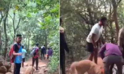 ಬೆಟ್ಟದಿಂದ ಕೆಳಕ್ಕೆ ಮಾಲೀಕನ ಶವದೊಂದಿಗೆ ಬಂದ ನಾಯಿ