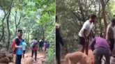 ಬೆಟ್ಟದಿಂದ ಕೆಳಕ್ಕೆ ಮಾಲೀಕನ ಶವದೊಂದಿಗೆ ಬಂದ ನಾಯಿ