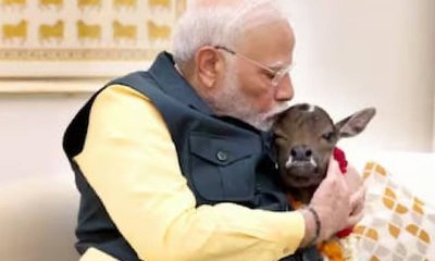 ಪ್ರಾಣಿಪ್ರಿಯರಿಗೆ ದನಗಳ ಮೇಲೆ ಏಕೆ ಪ್ರೀತಿ ಇರಲ್ಲ? ಮೋದಿ ಖಡಕ್‌ ಪ್ರಶ್ನೆ