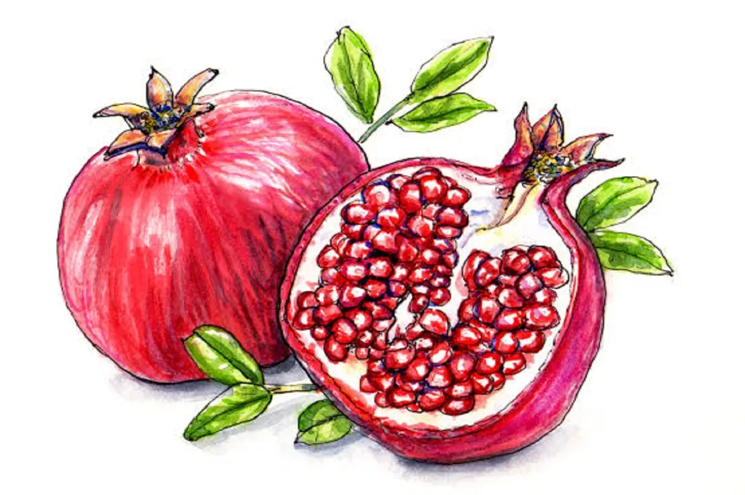 pomogranate ok