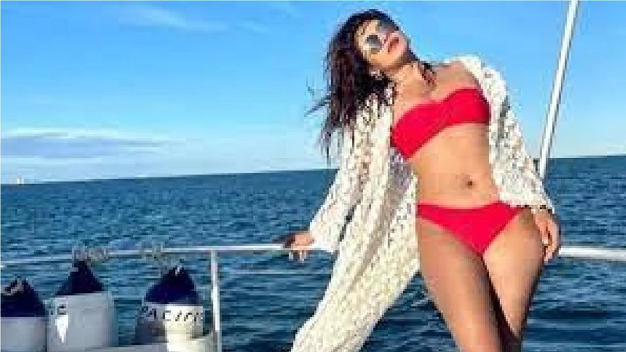 International Bikini Day: ಅಂತಾರಾಷ್ಟ್ರೀಯ ಬಿಕಿನಿ ದಿನ: ಬಿಕಿನಿಯಲ್ಲಿ ಮಿಂಚಿದ ಬಾಲಿವುಡ್‌ನ ಟಾಪ್‌ 10 ತಾರೆಯರು ಇವರು - Image 6