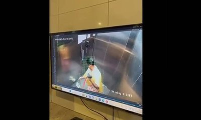 ಸಾಕಲೆಂದು ಬಂದವಳು, ನೆಲಕ್ಕೆ ಬಡಿದು ನಾಯಿಮರಿಯನ್ನು ಕೊಂದಳು!