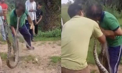 ವ್ಯಕ್ತಿ ಮೇಲೆ ಹೆಬ್ಬಾವು ಡೆಡ್ಲಿ ಅಟ್ಯಾಕ್‌! ವಿಡಿಯೊ ನೋಡಿ