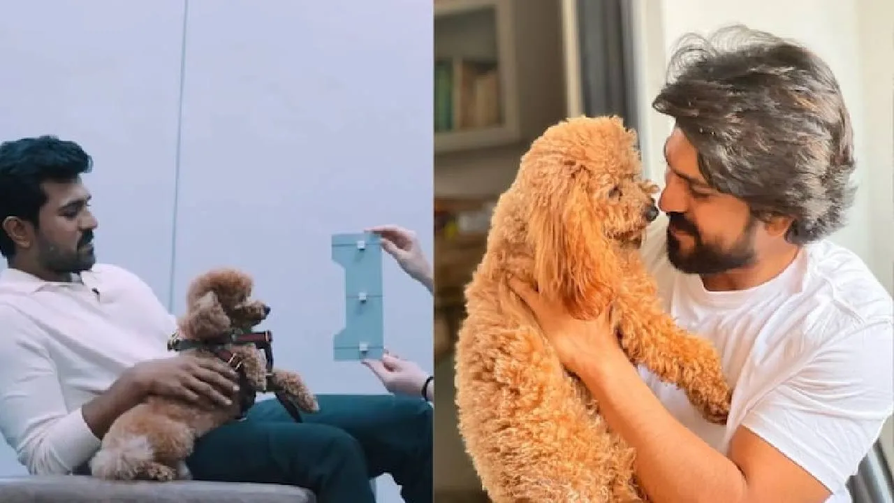 Ram Charan: ಲಂಡನ್‌ ಮ್ಯೂಸಿಯಂನಲ್ಲಿ ರಾಮ್‌ ಚರಣ್‌ ಮೇಣದ ಪ್ರತಿಮೆ-ಫೋಟೋ ವೈರಲ್‌ - Image 3