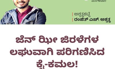ಜೆನ್ ಝೀ ಜಿರಳೆಗಳ ಲಘುವಾಗಿ ಪರಿಗಣಿಸಿದ ಕೈ-ಕಮಲ!