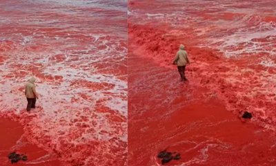 ರಾತ್ರೋರಾತ್ರಿ ಕೆಂಪು ಬಣ್ಣಕ್ಕೆ ತಿರುಗಿದ ಹಾರ್ಮುಜ್ ದ್ವೀಪದ ಸಮುದ್ರ!